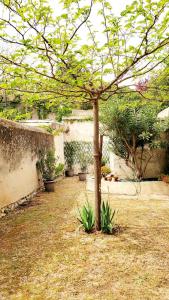 Appartements Appartement au coeur de cassis avec jardin : photos des chambres