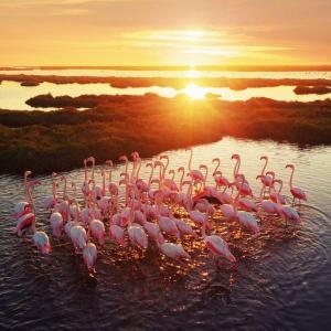 Appartements LE REGORDANE - Appartement 4 personnes - Centre WiFi Cosy : photos des chambres