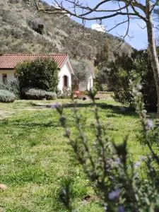 森托马尼塔维纳酒店 - 皮诺拉瓦