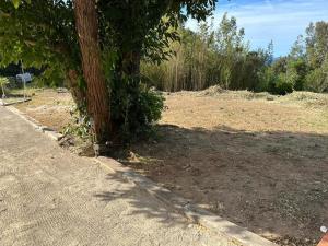 Le jardin de Neptune