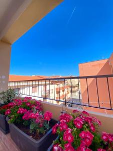 Claudio's House img9