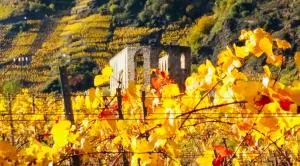 Ferienhaus Scheid - Beuren