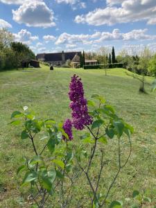 Maisons de vacances The Lion House : photos des chambres