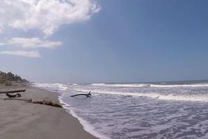 Apto 1er piso frente a la playa y con piscina