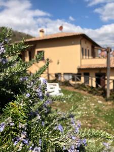 Il Borgo delle Stelle