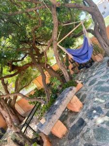 Villas Villa ANTONIA : photos des chambres