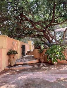 Villas Villa ANTONIA : photos des chambres