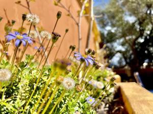 Villas Villa ANTONIA : photos des chambres