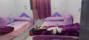 Abo Tamem Guest House