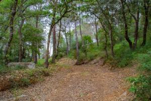 B&B S'Omu Antiga img52