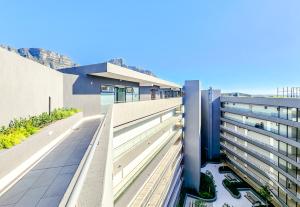 Newlands Peak - Elegance