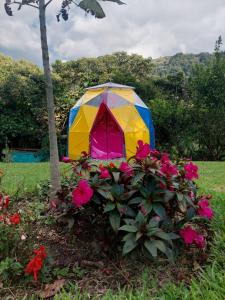EcoaldeaHotel Aguaviva2