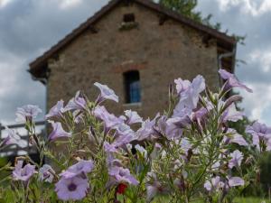 Maisons de vacances Stone holiday home in Saint Cernin de l Herm with pool : photos des chambres