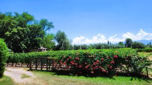Casa Quinta Rodeada de Bodegas Piscina BBQ Mendoza