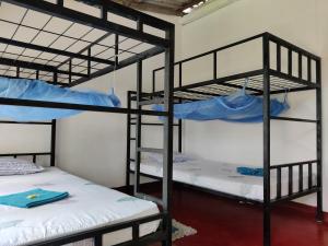 Nature Lovers Hostel