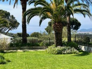 Appartements Splendide appartement avec piscine et jardin face a la mer - FR-1-726-2 : photos des chambres