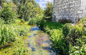 Maisons de vacances Stunning home in Bourgueil with 5 Bedrooms, WiFi and Outdoor swimming pool : photos des chambres