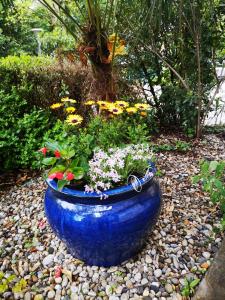 Sandy Beach Apartments 