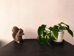 GUESTHOUSE SHARED with HOST