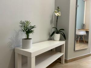 B&B Radice