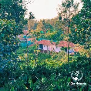 ViGo Homes - Kenchamman Hoskota