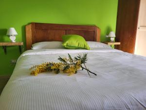 Casa Ramaceto