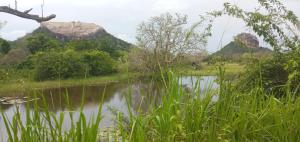 Rock Lake Home Stay