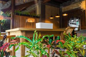 The Pause Inn - Soca 3