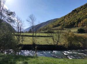 "Les Murmures de la Neste" T2 Cabine