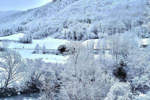Appartements Appart'T2 Cabine dans Res avec piscine saisonniere : photos des chambres