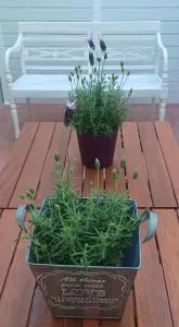 L'hotelet 16 Rural loft - La Drova