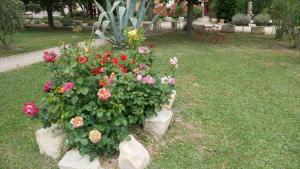 B&B / Chambres d'hotes MAS MAURANE-Chambre d'hote avec SPA prive aux portes d'ARLES : photos des chambres