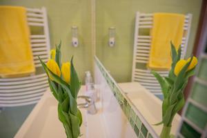 Molnár 20 Apartment