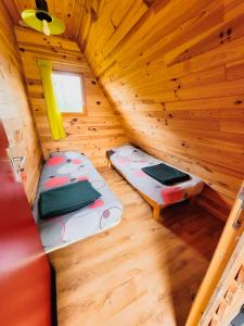 Campings Camping les Hirondelles : photos des chambres