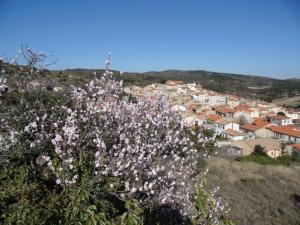 Maisons de vacances Cote Grange classe 4 etoiles : photos des chambres