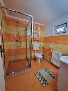 Family Studio room in Pensiunea Soare si Luna