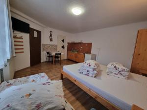 Nature Studio room in Pensiunea Soare si Luna