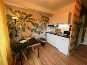 Amazonite, Studio proche centre ville de Caen stationnement à proximité - Authie