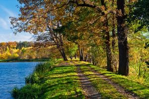 Apartamenty Bukowiec Folwark i Park