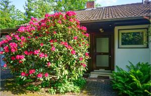 Stunning Apartment In Hinterweidenthal