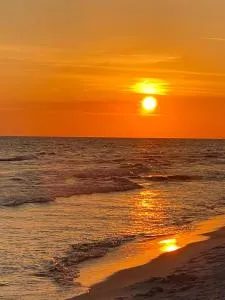 LUXURY ROSE COTTAGE ,ABOITEAU BEACH,CAP PELE - Melrose