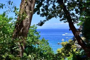 Casa Rosada - villa vista mare - Ischia