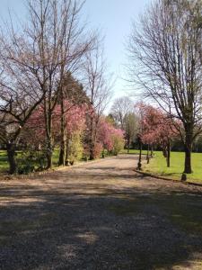 The Wandering Donkey Guest House