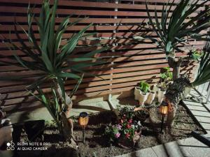 Karali Family Apartment