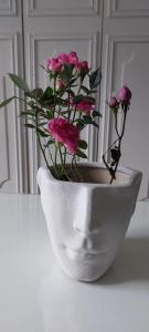 Fruškogorska kuća - Andrevlje lounge, naselje Testera