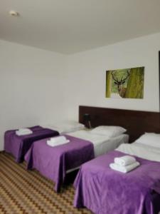 Triple Room room in Boutique Eco Hotel Sasanka