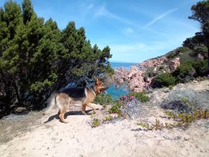 Villetta Monica img33