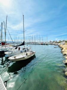 Emme Apartment img31