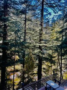 WildWoodHome Jibhi