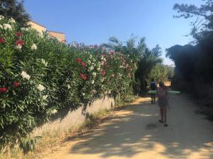 Appartements La Corse tranquille 300m de la plage et piscine : photos des chambres